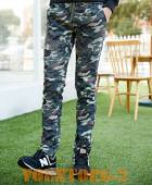 ����  Woodland